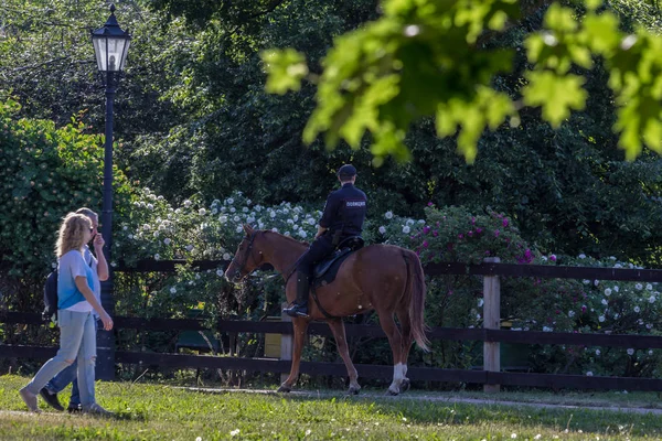 2019 Moskva Ryssland Poliser Ridning Häst Den Offentliga Parken Baksidan — Stockfoto