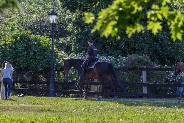 2019 莫斯科 俄罗斯 警察骑着马在公园 后面看 盛开花园背景的马上的人 — 图库照片