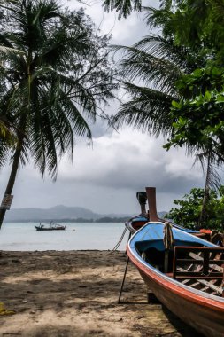 2011.05.07, Phuket, Tayland. Asya'yı dolaşın. Palmiye ağaçları ve dalgalar tarafından kum üzerinde Tekne.