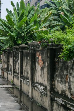 2011.05.15, Bangkok, Tayland. Cadde boyunca çitin eski bir taş duvarı. Bangkok çevresinde yürüyüş.