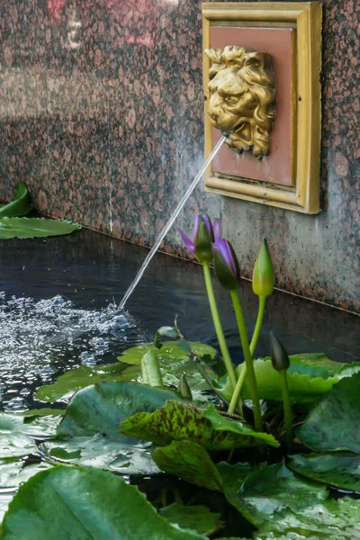 2011 Bangkok Thailandia Elemento Decorativo Della Fontana Forma Testa Leone — Foto Stock