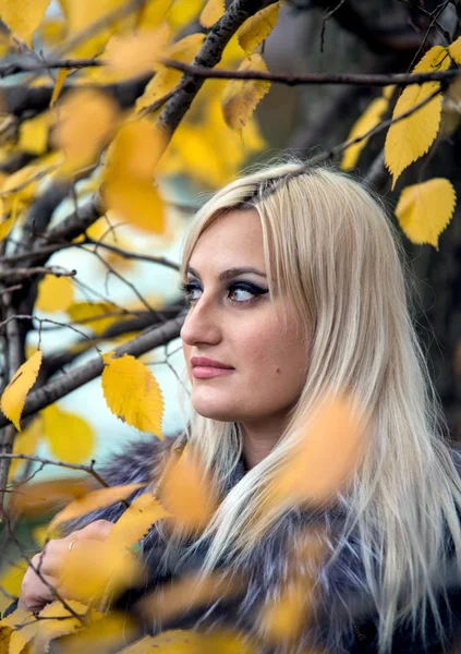 2017.10.21, Moskova, Rusya. Ağacın yanında duran kürk siyah ceket giyen genç ve çekici bir kadın. Sonbahar parkı etrafında yürüyüş.
