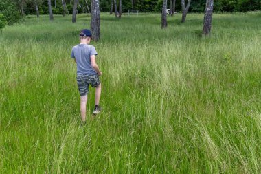 24.06.2020, Maloyaroslavets. - Rusya. Genç bir çocuk tarlanın etrafında uzun otların arasında yürüyor..  