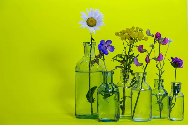 Blumenstrauß Von Wiesenblumen Den Flaschen Auf Gelbem Hintergrund Wildblumenkarte Horizontale lizenzfreie Stockfotos