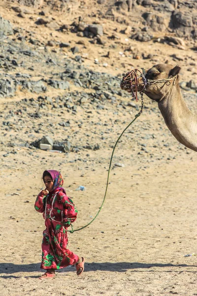 2012 Хургада Єгипет Дівчина Бедуїнів Одягнена Національне Вбрання Веде Верблюда — стокове фото