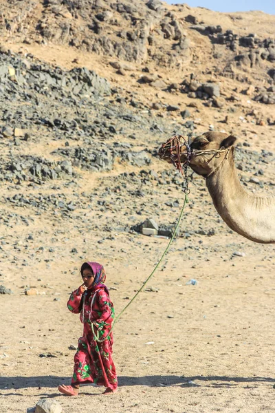 2012 Hurghada Egypt Beduínská Dívka Národních Šatech Vede Velblouda Poušti — Stock fotografie