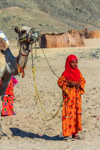 2012 Hurghada Egypt Beduínská Dívka Národních Šatech Vede Velblouda Poušti — Stock fotografie