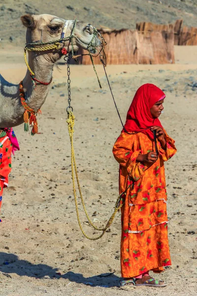 2012年9月17日 埃及Hurghada 身穿民族服装的贝都因女孩引导骆驼在沙漠中行走 非洲当地人民 — 图库照片