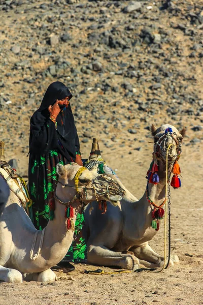2012 Hurghada Ägypten Beduinenfrau Schwarzer Kleidung Steht Neben Liegendem Kamel — Stockfoto