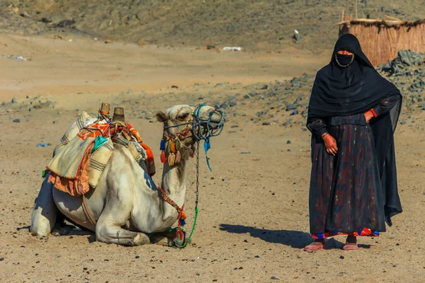 2012 Хургада Египет Бедуинская Женщина Чёрной Одежде Стоит Лежащего Верблюда — стоковое фото
