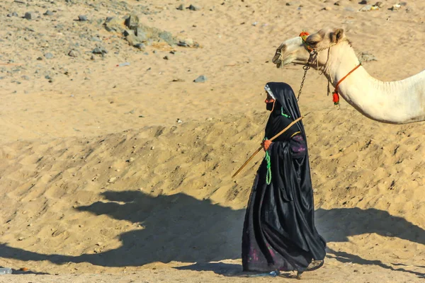 2012年9月17日エジプトのフルガダ 民族衣装を着たベドウィン族の女性が砂漠のラクダを案内する アフリカの地元の人々 エジプトの観光客の娯楽 — ストック写真