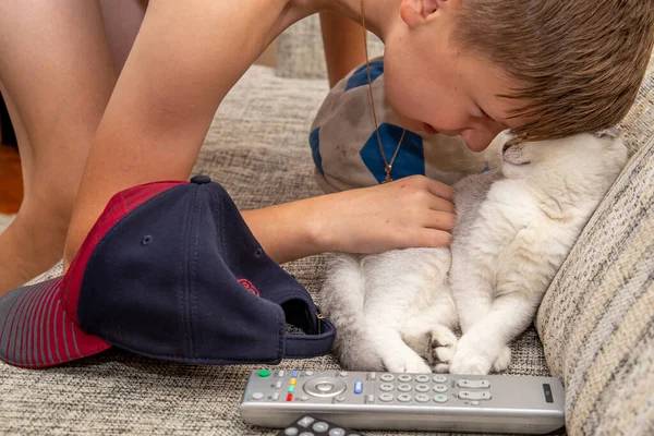 Tenåringsgutt Som Leker Katt Sofaen Hjemme Husdyr Barn – stockfoto