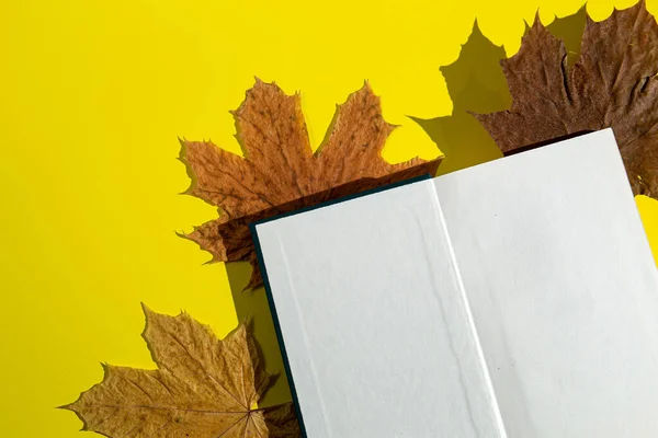 Otevřená Kniha Podzimní Listy Žlutém Pozadí Koncepce Vzdělávání — Stock fotografie