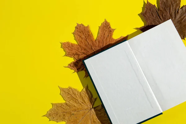 Een Open Boek Herfstbladeren Gele Achtergrond Onderwijsconcept — Stockfoto