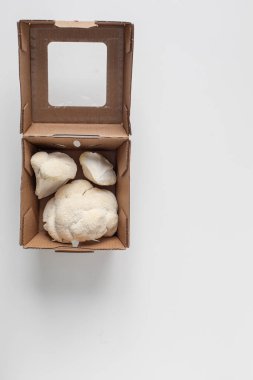 Taze aslanlar, beyaz bir yüzeye yerleştirilmiş, açık bir karton kutuda mantar mantarı ezerler. Metin için yeri var. Genel manzaralı minimal yemek fotoğrafçılığı.