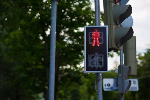 Stoppa Signal Fotgängare Rött Trafikljus — Stockfoto
