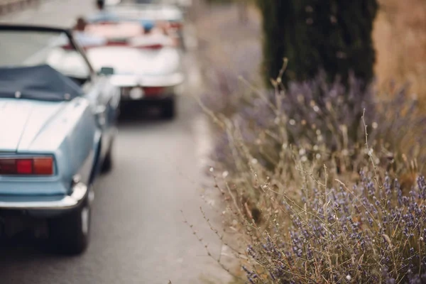 Retro Rallye Französische Riviera Schön Konserven Saint Tropez — Stockfoto