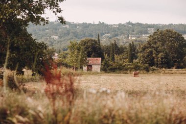 Alan küçük bir evde