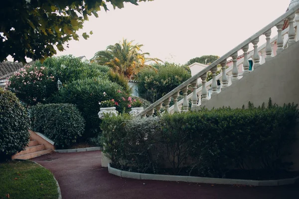 Stair, villa, mansion, garden