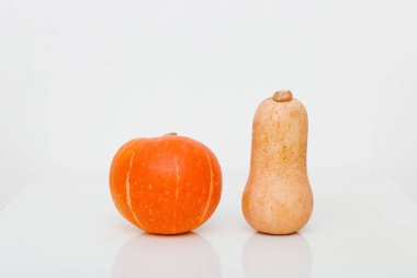 Beyaz arka planda sarı balkabağı