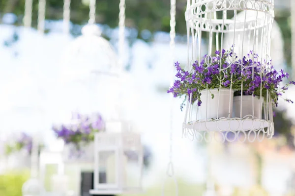 Decoração Casamento Com Flores Lilás Gaiolas Brancas — Fotografia de Stock