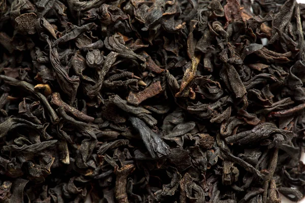 Fekete Tea Vértes Makró — Stock Fotó