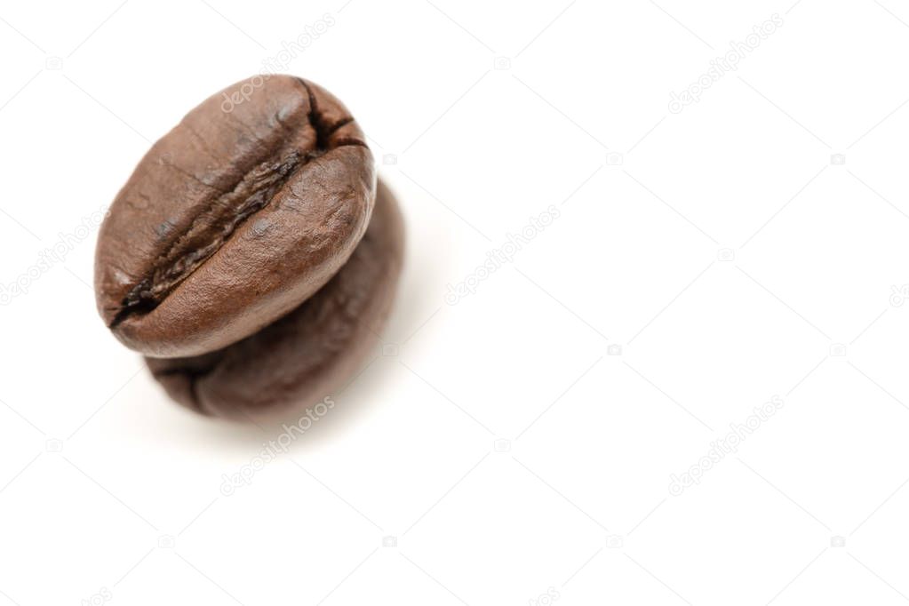 Two Coffee beans roasted arabica isolated on white background