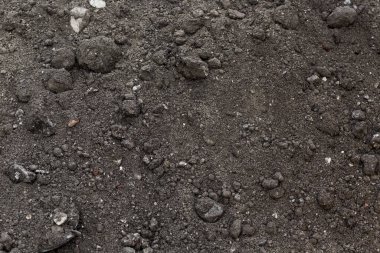 Soil ground texture background pattern. Dirty earth