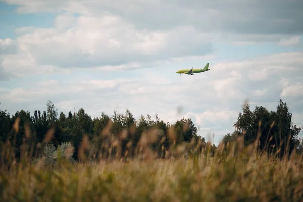 Το αεροπλάνο προσγειώνεται πάνω από το δάσος. Επιβατικά αεροσκάφη. — Φωτογραφία Αρχείου