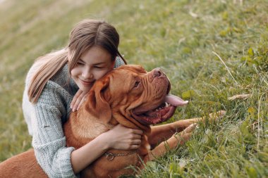Dogue de Bordeaux ya da Fransız Mastiff açık hava parkındaki çayırda genç bir kadınla.