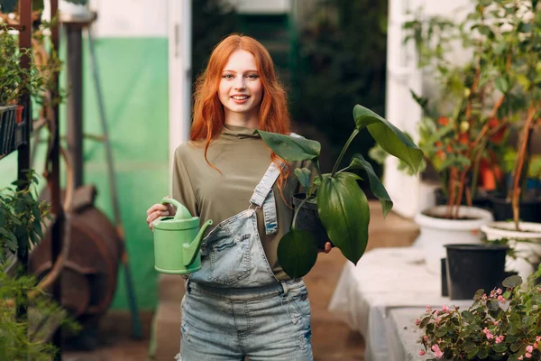 Koncepcja ogrodnictwa domowego. Młoda kobieta rośliny kwiatowe w szklarni. — Zdjęcie stockowe