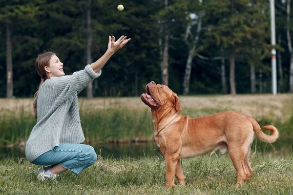 Dogue de Bordeaux o French Mastiff con giovane donna che gioca con la palla al parco all'aperto — Foto Stock