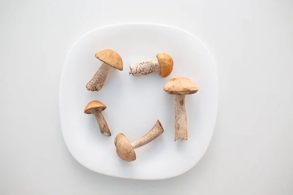 Čerstvé syrové boletus houby v bílém talíři na bílém pozadí — Stock fotografie