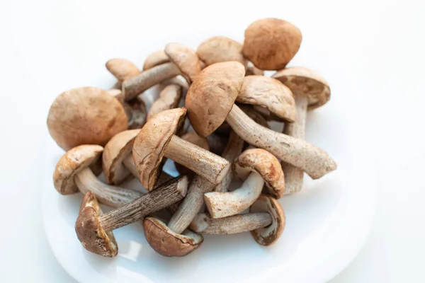 Frische rohe Steinpilze in weißem Teller auf weißem Hintergrund — Stockfoto