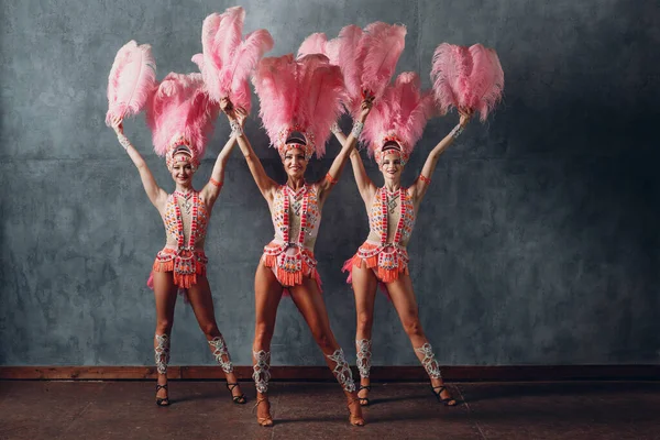 Samba giymiş üç kadın ya da pembe tüylü lambada kostümü. — Stok fotoğraf