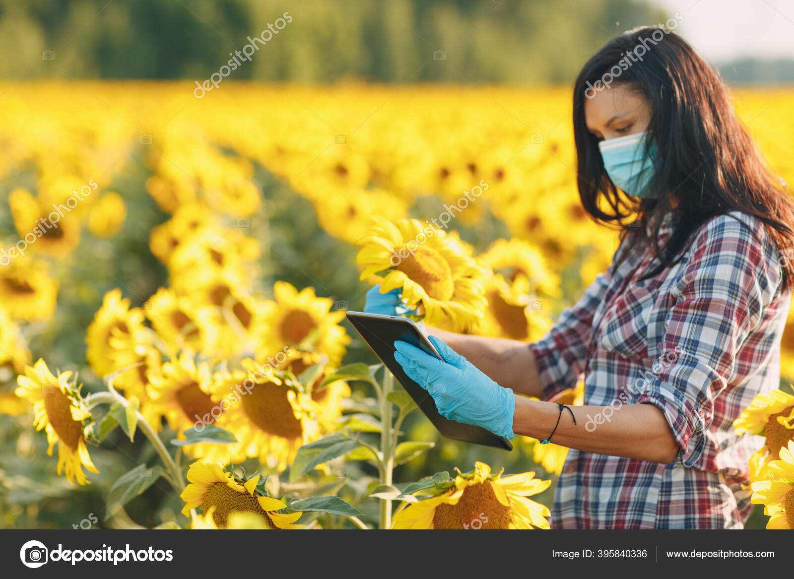 Perempuan Petani Agronomis Dalam Sarung Tangan Dan Topeng Wajah Di