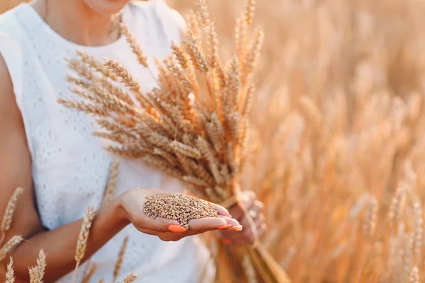 Donna che tiene il covone di spighe di grano a campo agricolo — Foto Stock