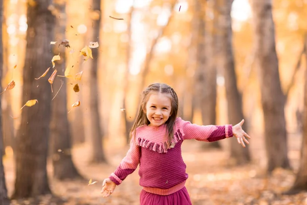 Cute little girl w jesiennym parku z pomarańczowym i żółtym kolorze liści — Zdjęcie stockowe