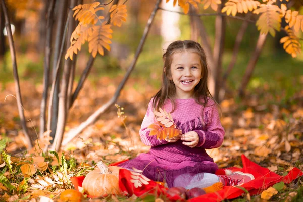 Cute little girl w jesiennym parku z pomarańczowymi liśćmi i żółtą dynią. — Zdjęcie stockowe