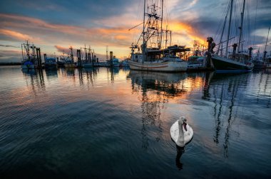 Nehirde gün batımı, güzel dramatik gökyüzü 