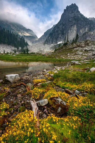 Красиві Квіти Березі Гірського Озера — стокове фото
