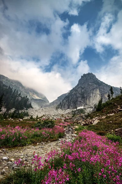 Hermosas Flores Las Montañas Primavera — Foto de Stock