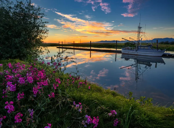 Lindas Flores Margem Rio Pôr Sol — Fotografia de Stock