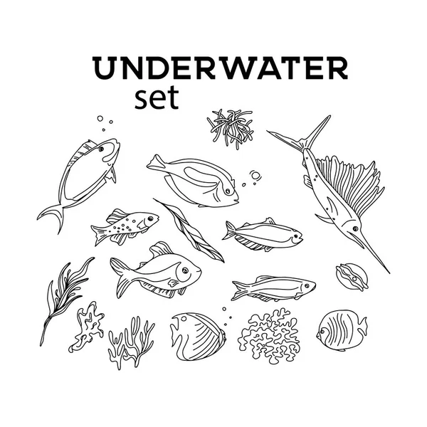 Ocean animals underwater sketch. Monochrome fish line art. Summer tropical food. Deep water illustration for restaurant, shop. wrap, cloth, advertising — Stock Vector