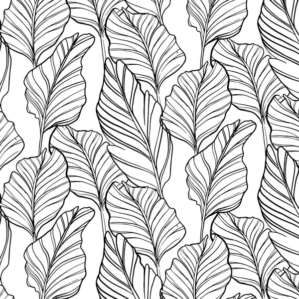 Tropisches Nahtloses Muster Mit Von Hand Gezeichneten Naturblättern Auf Weißem — Stockvektor