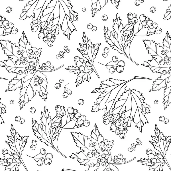 Modèle de baies de Rowan. Automne blanc couverture noire décoration. Plante à fleurs sauvages avec feuilles et baies. enveloppement botanique isolé . — Image vectorielle