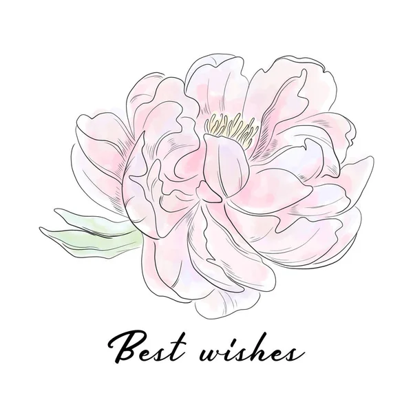 Slogan de tipografia vetorial com ilustração de flor de peônia. Desenho botânico desenhado à mão. Design de casamento de desenho romântico . — Vetor de Stock