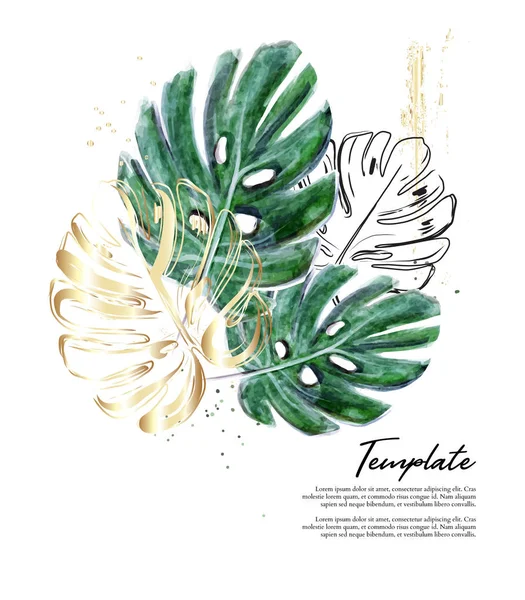 金箔が輝くモンテラ手描きの水彩イラスト。白い背景に隔離された現代のスプリットリーフフィロデンドロン植物、ラインアートインク描画 — ストックベクタ