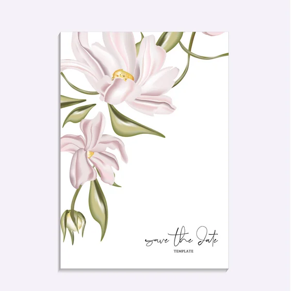 Anise Magnolia Vector Art Stock Images Depositphotos Anise Magnolia Vector Art Stock Images Depositphotos