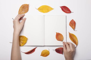 Kadın elinde kalemle kitap tutuyor, beyaz masada bırakıyor.